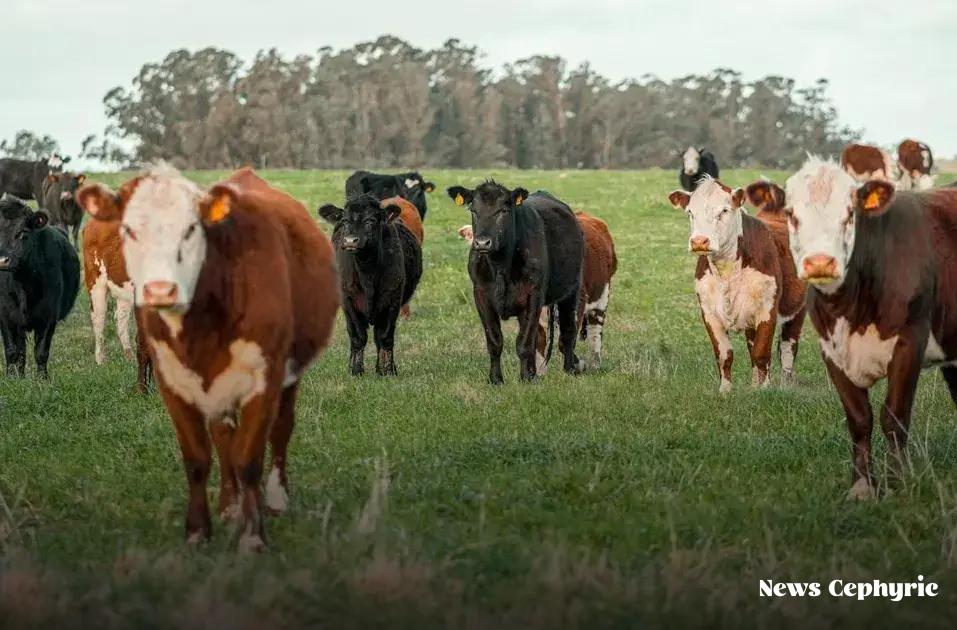 Common Challenges and How to Overcome Them