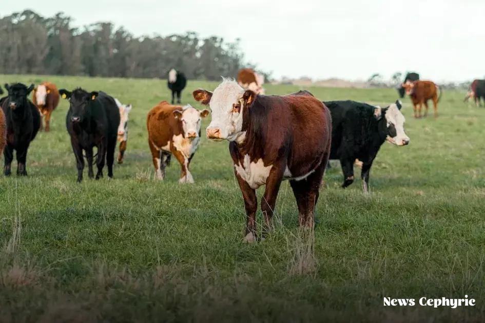 Diversify Your Income Sources