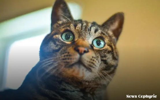 How to Achieve Financial Independence: Start Your Journey Today