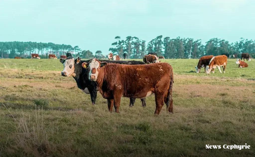 Increase Your Income