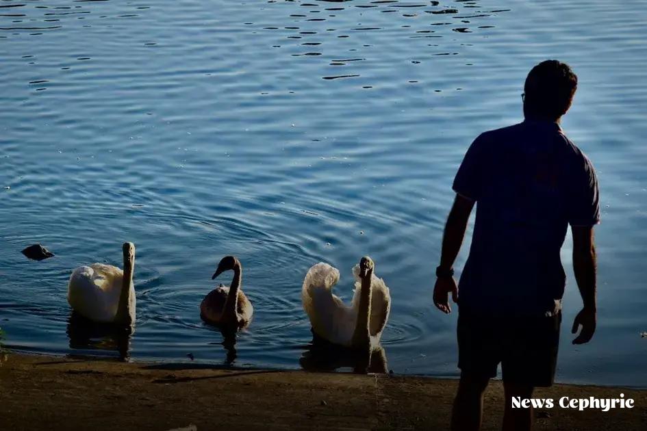 Steps to Improve Your Credit Report