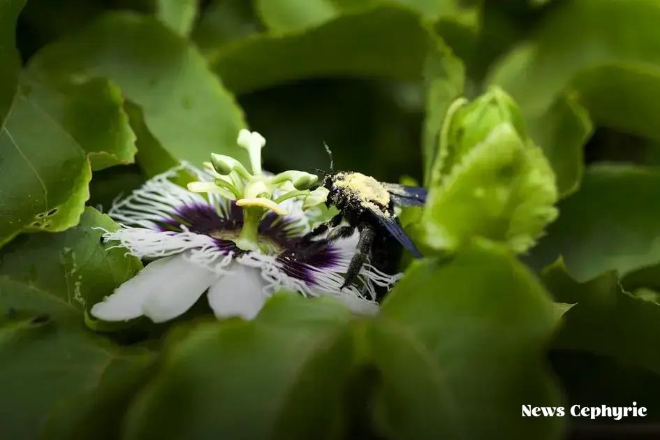 Strategies for Mitigating Risks