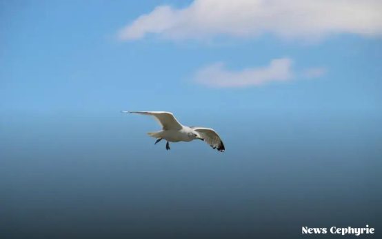 The Impact of Your Credit Report: Why It Matters More Than You Think