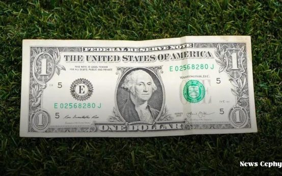 The Importance of Financial Health Check-Ups: Why You Shouldn't Wait