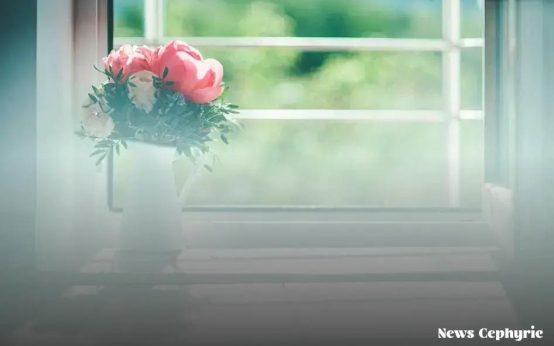 The Importance of Financial Literacy: Why It Matters for Your Future