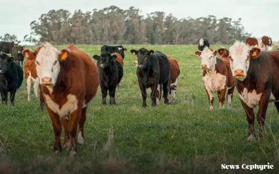 Tips for Creating an Emergency Fund Quickly: Your Guide to Financial Security